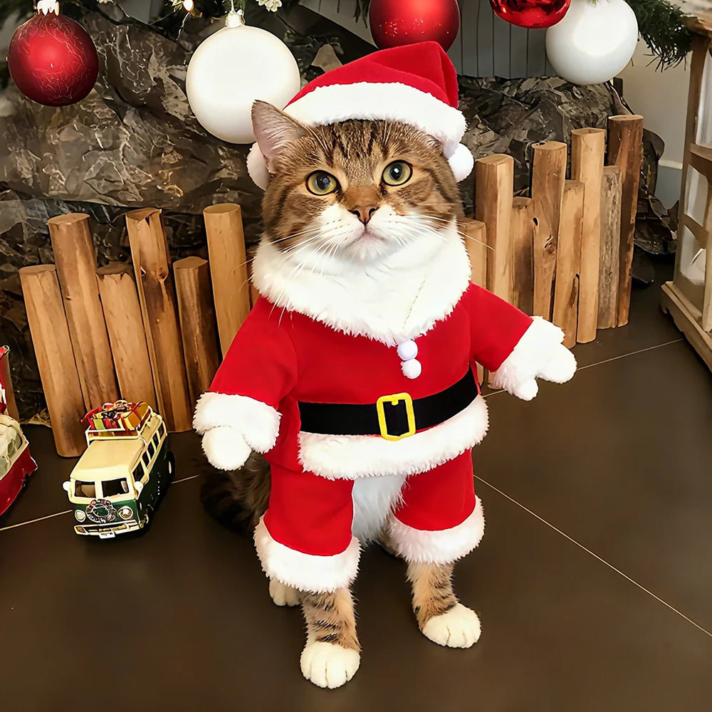 Roupa Pai Natal /  Cães / Gatos